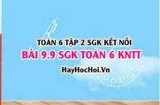 Bài 9.9 SGK Toán 6 tập 2 Kết nối tri thức